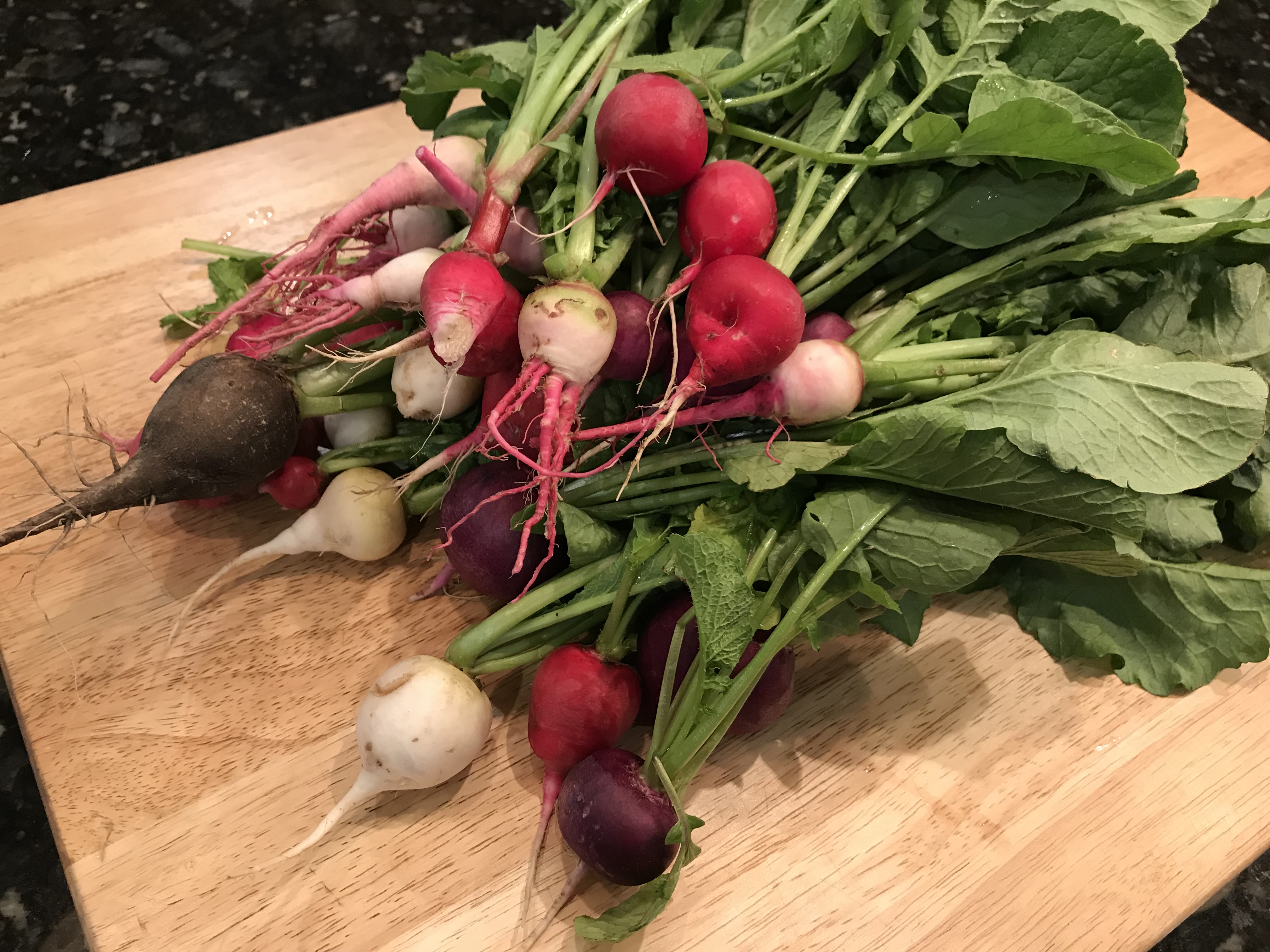 2018 LSU AgCenter Early Spring Radish Variety Trial 